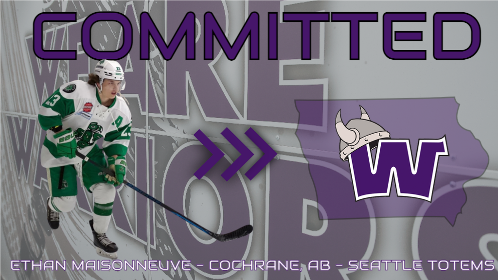 Waldorf D2 Hockey signs Ethan Maisonneuve