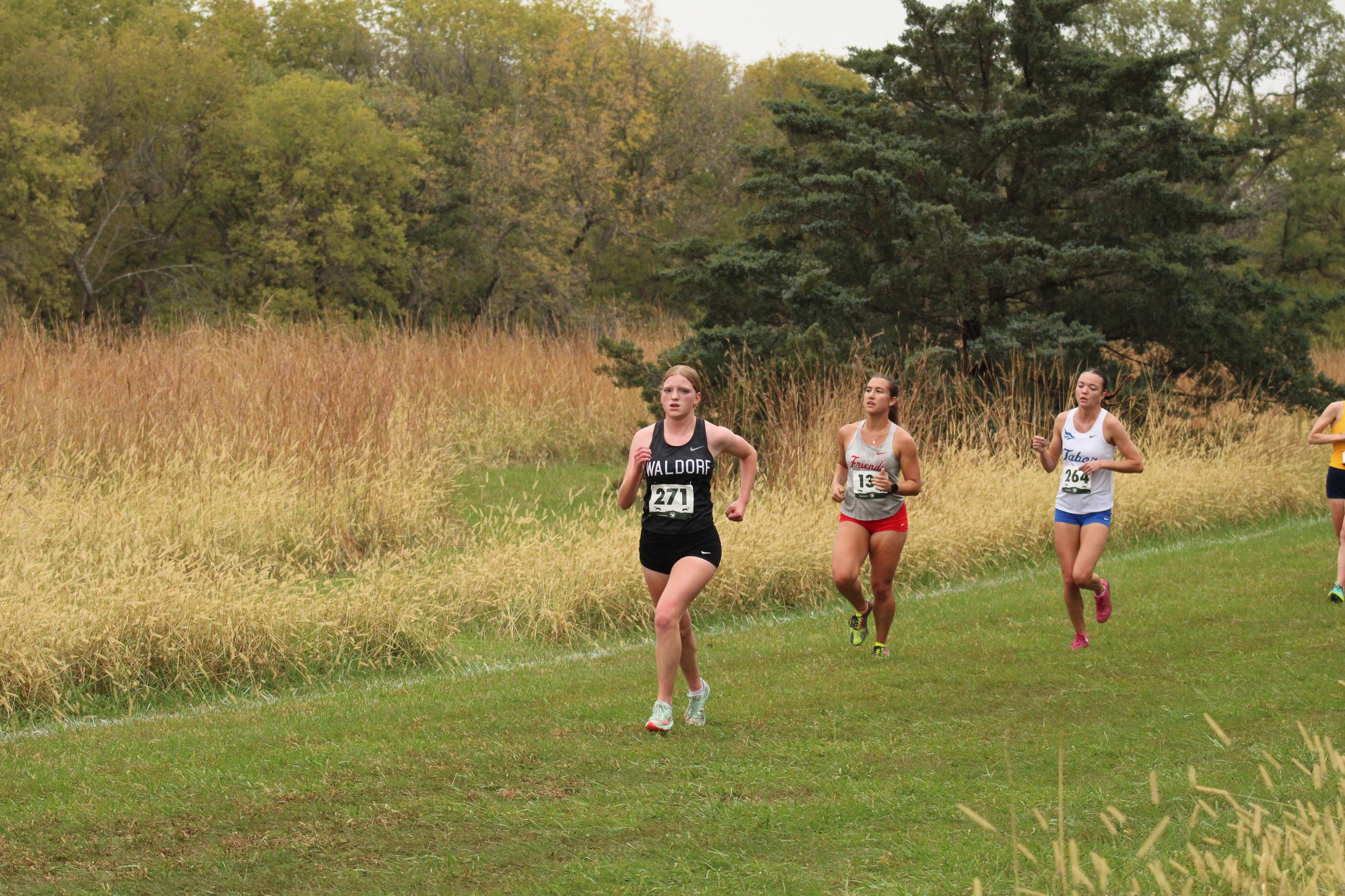 Waldorf Women's XC run at Blazing Tiger NAIA Classic