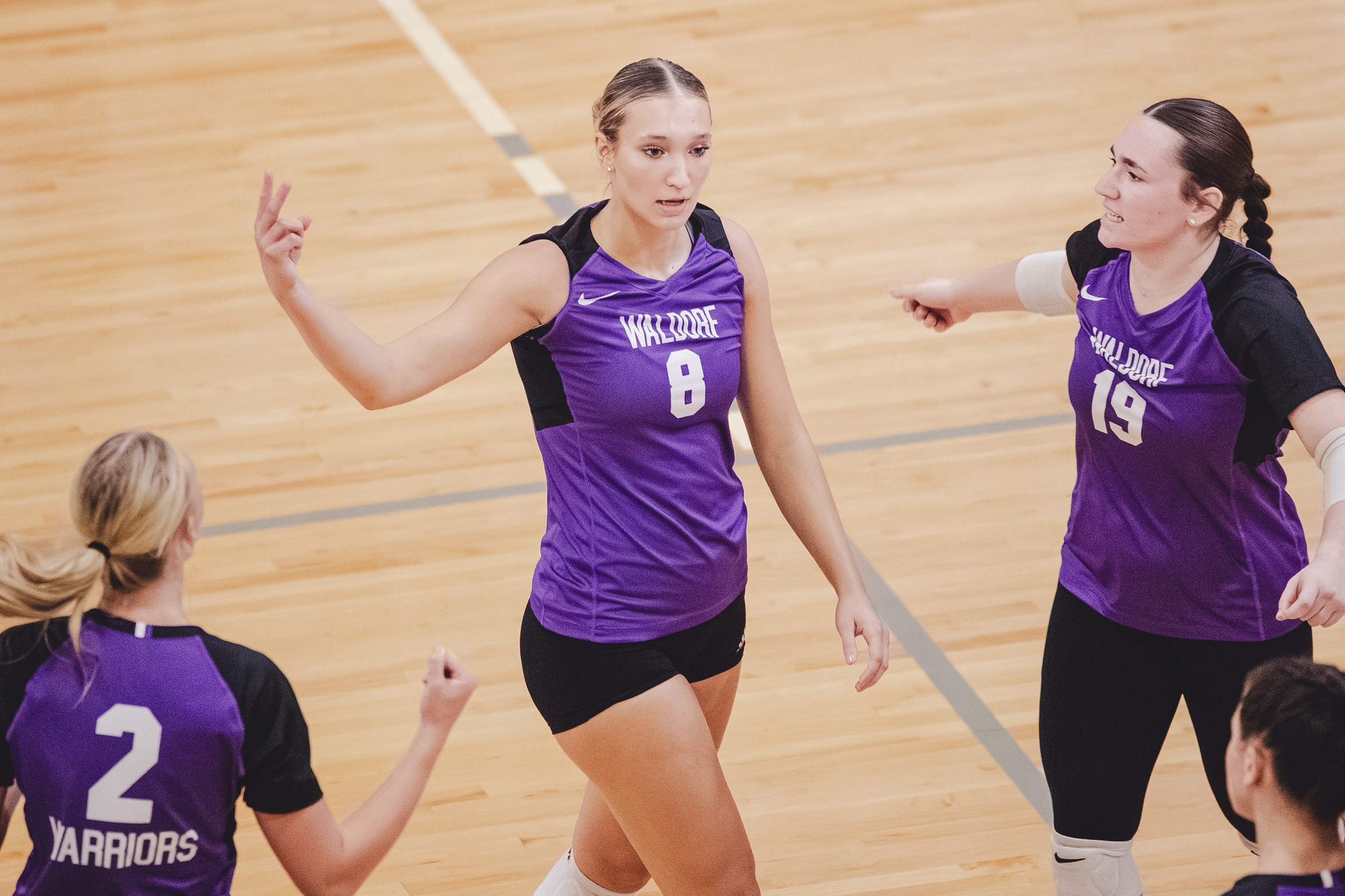 Waldorf Volleyball Drop Hard-Fought Match to Doane Tigers