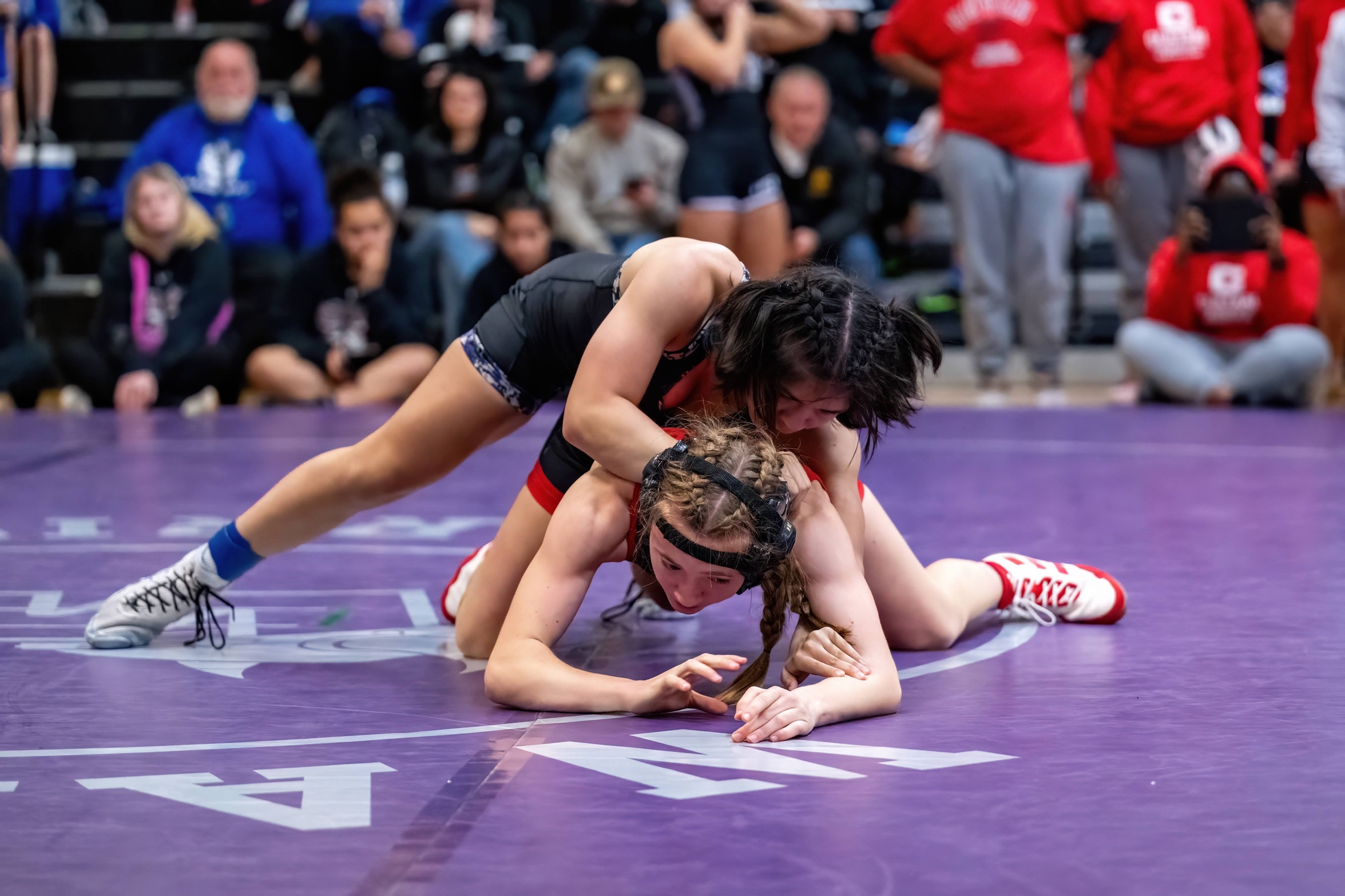 Waldorf Returns to the Mat at the York Open